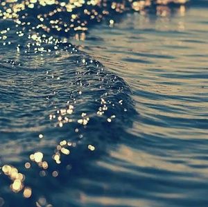 Meet your Posher, Xavier